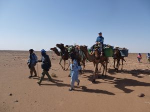 Projekt_Arbeitsplaetze_quer Ein junger Mann reitet auf einem Dromedar. Drei Nomaden führen die insgesamt vier Dromedare an Seilen über eine weite Sandebene.